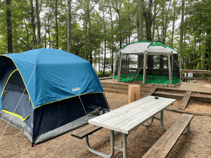 Tent Tribulations: Choosing Our Tents, Part Two